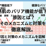 敏感肌のバリア機能が低下する原因とは？そのメカニズムと対策を徹底解説。